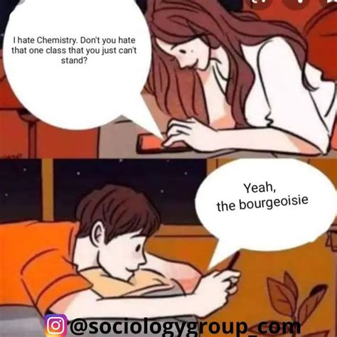 17 Best Funny Sociology Major Memes