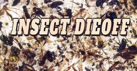 By mac slavo of shtfplan. THE COMING MAN-MADE FOOD SHORTAGES - Prophecy Updates and ...