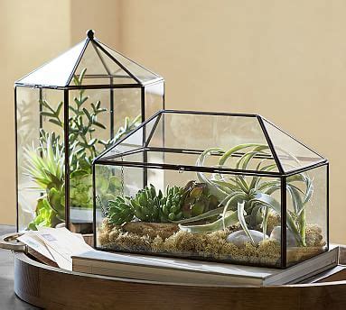 1.5 out of 5 stars from 243 genuine reviews on australia's largest opinion site online orders just sit for weeks with no status or progress update. Glass Terrarium | Pottery Barn