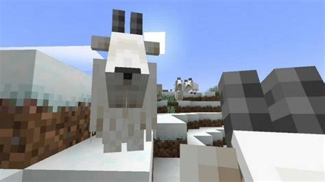 Top 5 Unieke Functies Voor Minecraft Goats Moyens Io