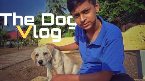 The Dog Vlog Youtube