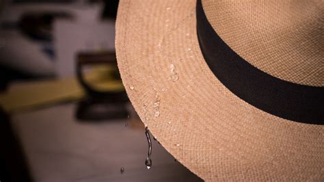Tips For Extending The Life Of Your Hat Ultrafino Blog