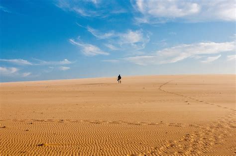 Person Walking In The Desert · Free Stock Photo