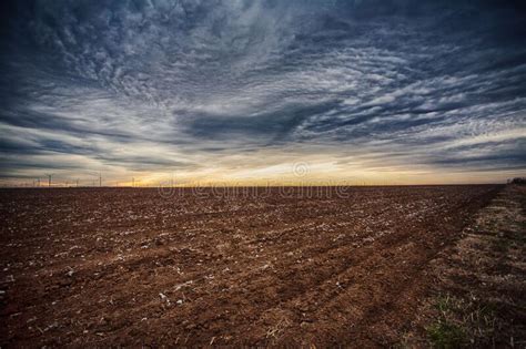 Flat Stretch Of West Texas Barren Cotton Field In Winter At Sunset With