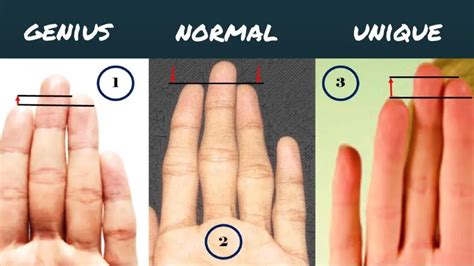 Length Of The Fingers And Your Personality Palmistry