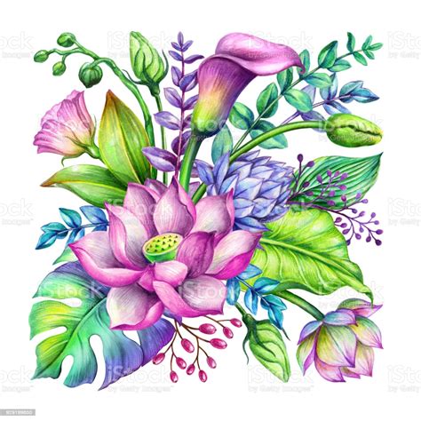 Bouquet flowers wedding roses flower bloom floral blossom tulips flower arrangement. Watercolor Botanical Illustration Tropical Floral ...