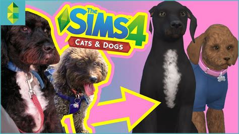 The Sims 4 Cats And Dogs Get A Pet Inputeb