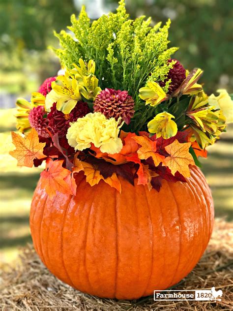 How To Create An Easy And Elegant Fall Pumpkin Floral Arrangement