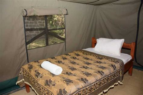 Z Nairobi 3 Dniowe 2 Nocne Safari Grupowe Masajów Mara Getyourguide