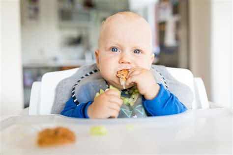 Cuándo Y Cómo Aprende El Bebé A Comer Solo