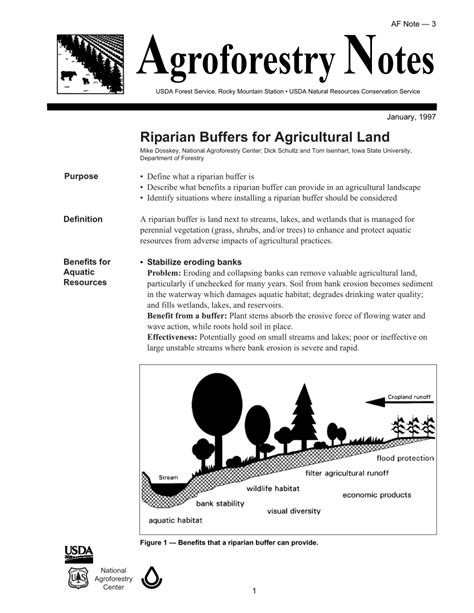 Riparian buffer — a riparian buffer is a vegetated area near a stream, usually forested, which helps shade and partially protect a stream from the impact of adjacent land uses. (PDF) Riparian Buffers for Agricultural Land