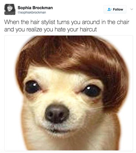 Show Us A Terrible Haircut Youve Gotten Funny Dog Pictures Cute