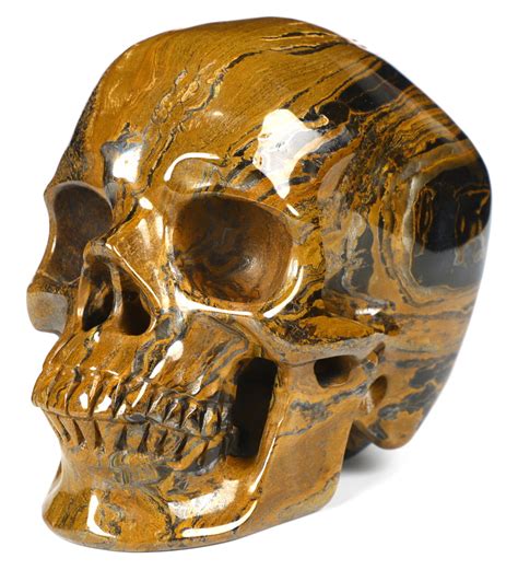 Tiger Iron Eye Carved Crystal Skull Buckle Belt Stainless Steel