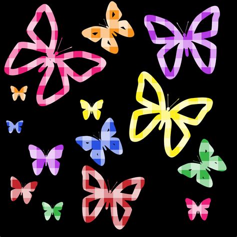 Free Download Abstract Colorful Butterfly Hd Images Only Hd Wallpapers