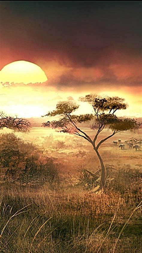 Africa Wallpapers - Top Free Africa Backgrounds - WallpaperAccess