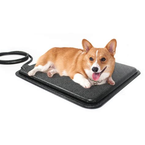 10 Heated Outdoor Pet Pads Youll Want To Snag Before Winter Furry Folly