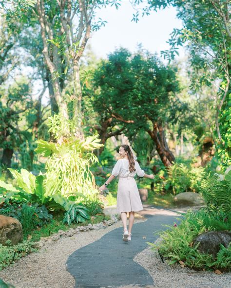 ส่งต่อความสดชื่น กับมุมร่มรื่นๆ ที่มีพรรณไม้สีเขียวหลากหลายชนิด มองไป