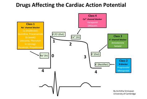 Anti Arrythmics Drugs Moa Classification And Uses Medical Junction