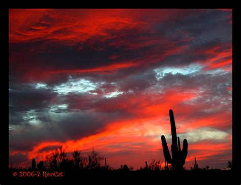 Red Neon Sunset By Roocat On Deviantart