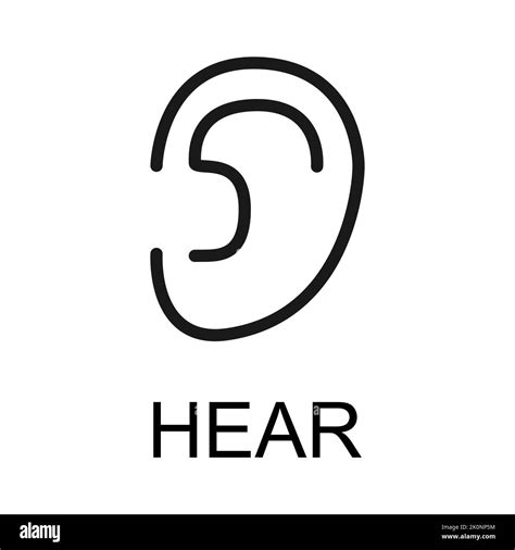 Human Anatomy Flat Ear Icon Hear Health Organ Vector Illustration