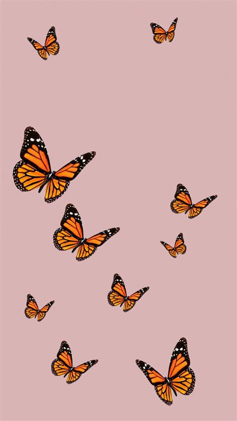 Cute Aesthetic Pink Butterfly Wallpapers Wallpaper Cave