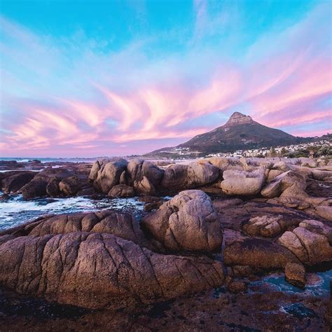 Custom pet portraits at prices that fit every budget. #CampsBayCapeTownSouthAfrica #an -adventurers.com #nature ...