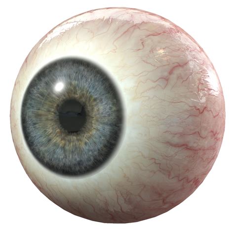 Scary Eye Png Transparent Creepy Eyeball Png Clipart Large Size Png
