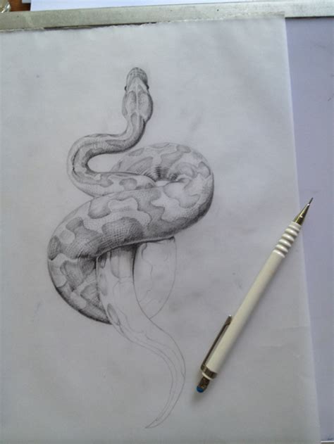 Snake's skin often has a pattern that resembles fish scales. Tabitha Shafran: SNAKE DRAWING