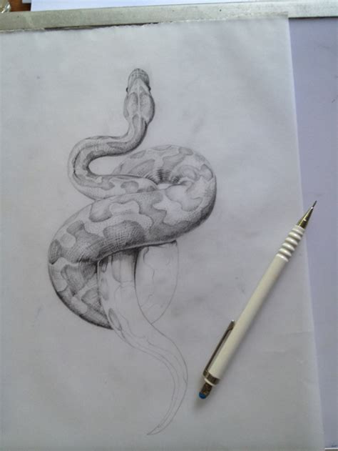 If you need illustration of some other object feel free to write me at: Tabitha Shafran: SNAKE DRAWING