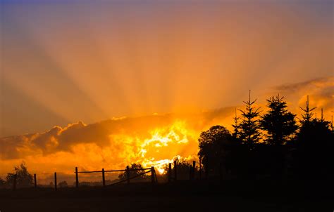 Magnificent Sunrise Sunbeam Free Image Download