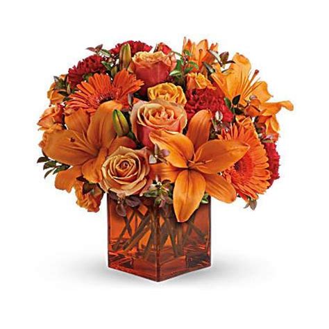 Versatile and hardy, we have plants for the garden and indoors that can all be delivered to you. Sunrise Sun Set Aylett Florist - King William Florist ...