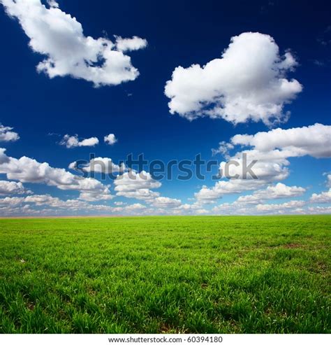 Meadow Green Grass Blue Sky Clouds Stock Photo 60394180 Shutterstock