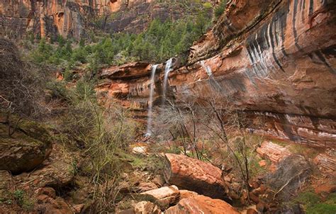 Check out this national park service map below outlining blm camping boundaries. Zion National Park Camping | Survival Life Camping Series
