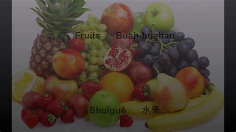 Melancap sampai burit basah anyxxx. Kamus Bergambar Bahasa Cina Sayur Sayuran Dan Buah Buahan ...