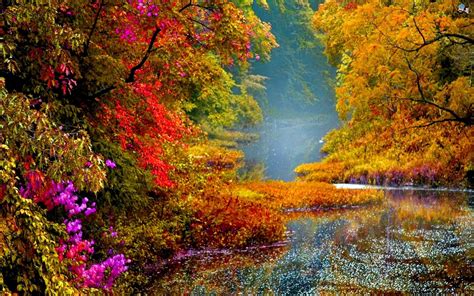 Free Download Colorful Scenery Images Yahoo Image Search Results Colors