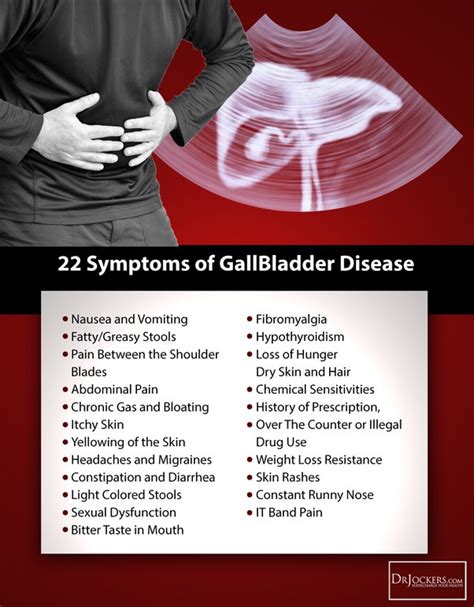 The Gall Bladder Dr Kate S Best