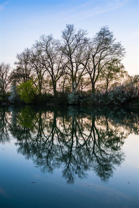 Free Images Reflection Body Of Water Natural Landscape Tree Water