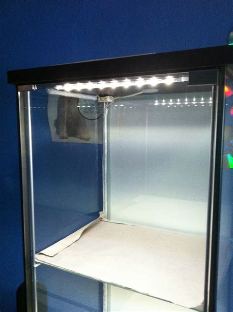 Check spelling or type a new query. Spirit Place Crave: Setting Up My Detolf Display Glass ...