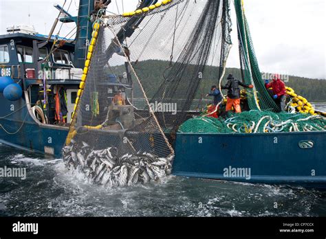 Pesca Comercial De Alaska Fotografías E Imágenes De Alta Resolución Alamy