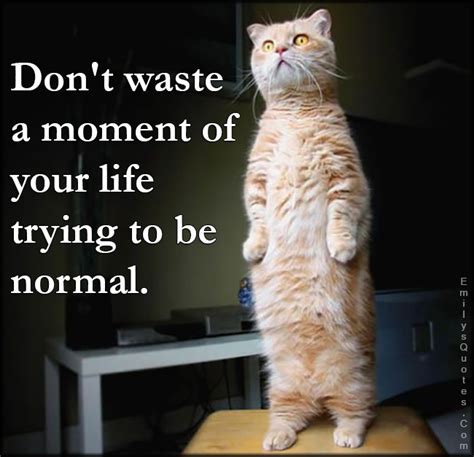 Dont Waste A Moment Of Your Life Trying To Be Normal Popular Inspirational Quotes At Emilysquotes