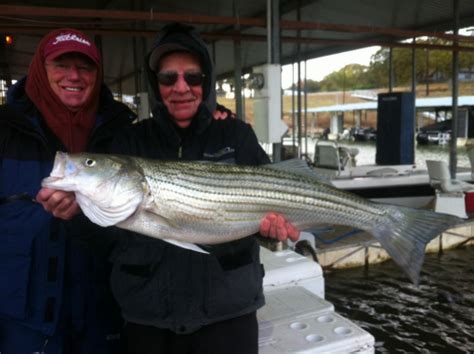 Texoma was built as a flood control lake, and the water level has held steady for the last several years. Lake Texoma Fishing Guides Report - December Striper ...