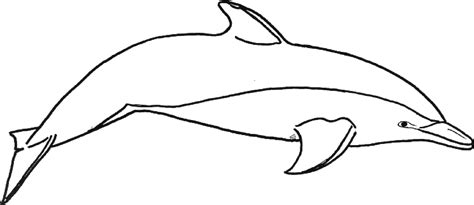 Dolphin Outline Clipart Best