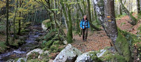 We did not find results for: Wandelen GRP Tour du Morvan Bourgondië | Wandelen ...