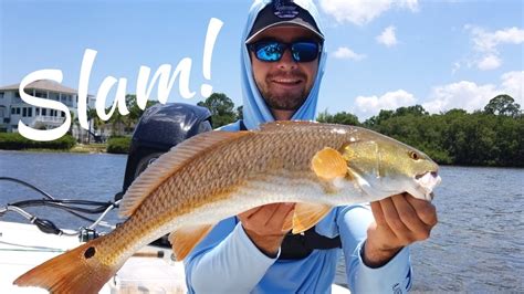 Tampa Bay Fishing Inshore Slam Trout Snook Redfish Youtube