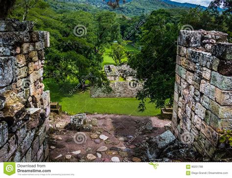 View Of Grand Plaza In Mayan Ruins Copan Archaeological Site