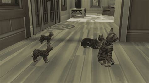 The Sims 4 Cats And Dogs Breeding For Profit