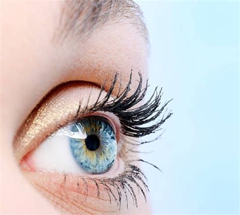 Human Eye Side View Stock Photos Pictures And Royalty Free Images