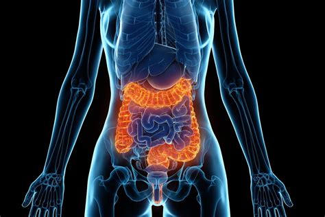 Maladie de Crohn symptômes poussée causes héréditaire