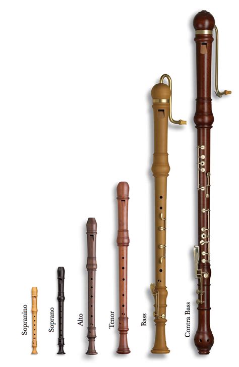 Recorders O Flautas Dulces En 2022 Instrument De Musique Instruments