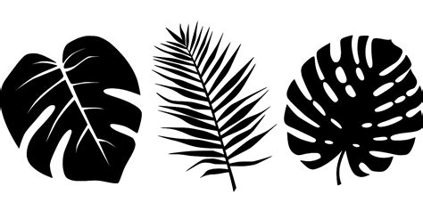 SVG Tropical Leaves Palms Free SVG Image Icon SVG Silh